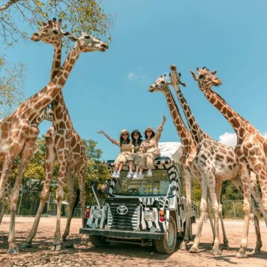 KanchanaburiSafariParkDayTourfromBangkokbyAKTravel-KlookMalaysia KanchanaburiSafariParkDayTourfromBangkokbyAKTravel-KlookMalaysia