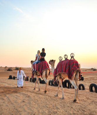 Camel,Trek,At,Desert,Safari,Dubai. Camel,Trek,At,Desert,Safari,Dubai.