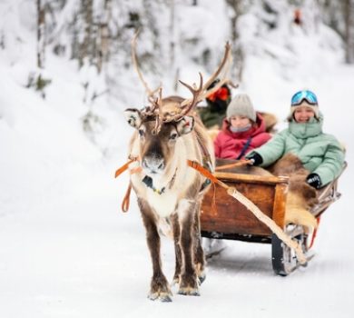 shutterstock_2071990478 (1)